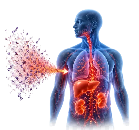 Inflamação sistêmica no corpo